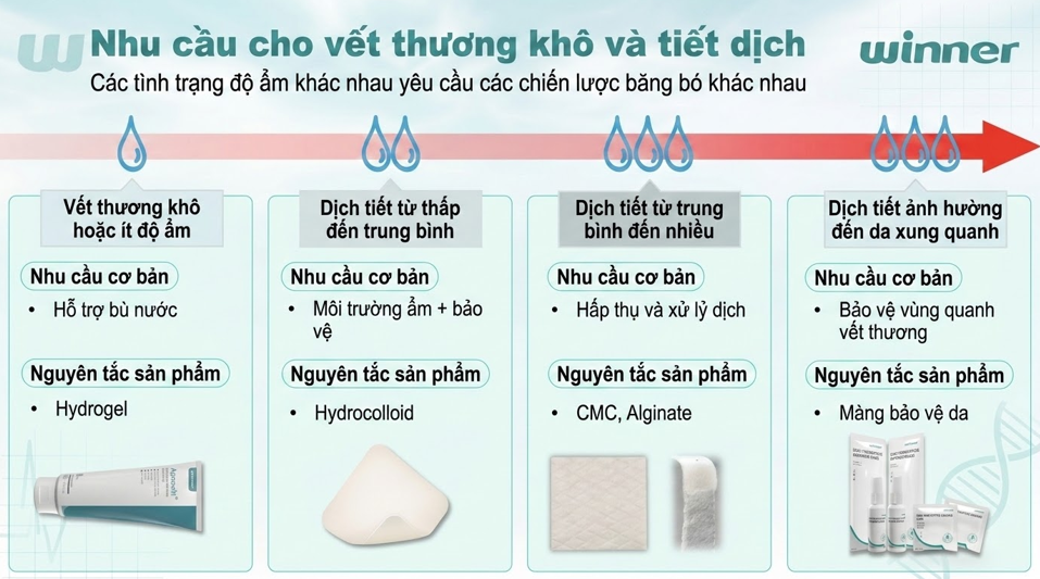 phân loại vết thương theo dịch tiết